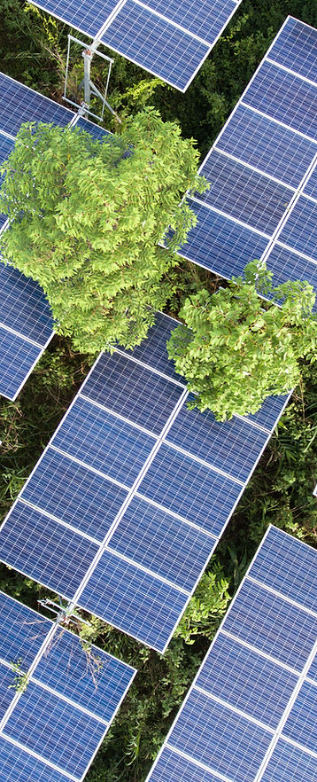 Agri-Solaranlage