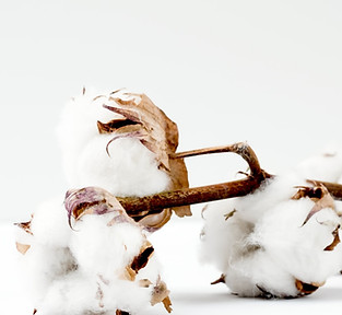 Premium cotton shirts by Husler Co.