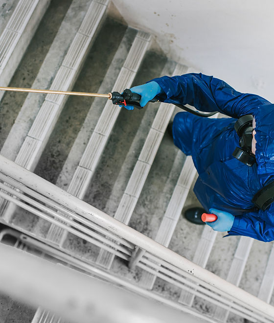Spraying Chemical on Stairs