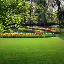 A landscaped formal garden with lush green lawns and colourful flowerbeds