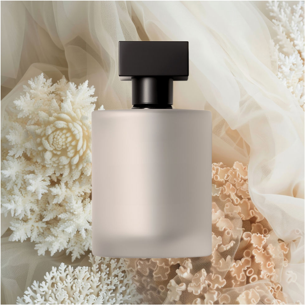 Perfume Bottle Display