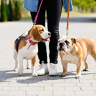 Going for a Walk
