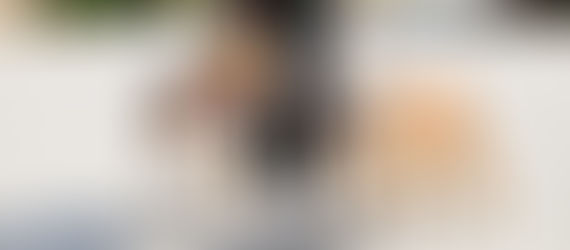 Kućni ljubimci i komunalna odgovornost