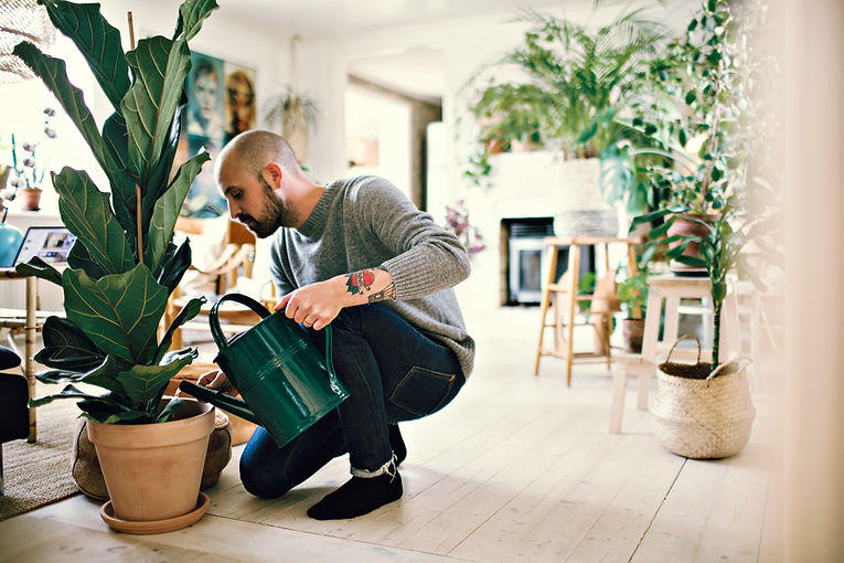A Man Watering Plants