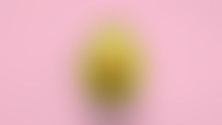 Giftig mat, sopp & planter - Vær forberedt på uhellet