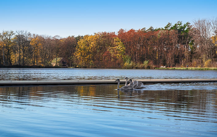 Lake