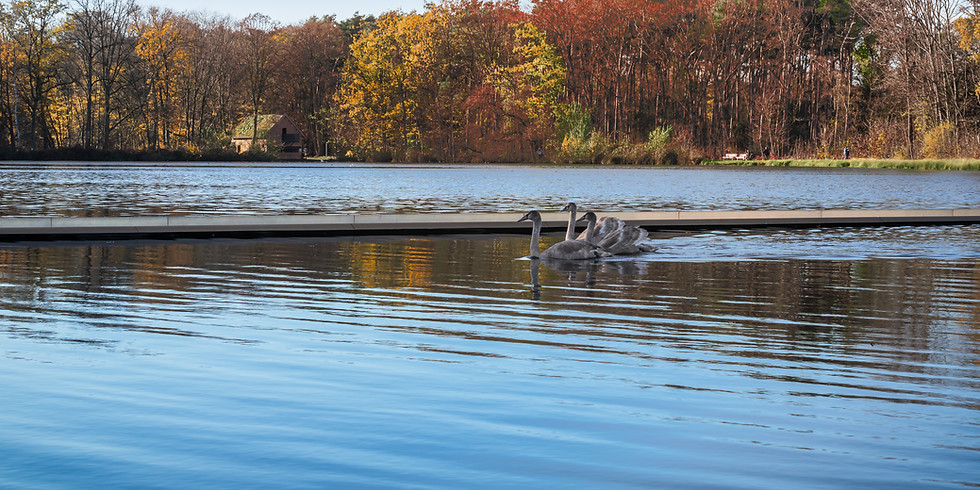 Tauchausfahrt Kulkwitzer- und Sundhäusersee