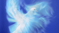Eine leuchtend weiße Taube fliegt kraftvoll und dynamisch in einem tiefblauen, wirbelnden Hintergrund. Das Bild symbolisiert die Ruach HaKodesch, den Heiligen Geist im hebräischen Kontext, als göttliche Ezer-Kampfkraft und Beistand im Sturm.