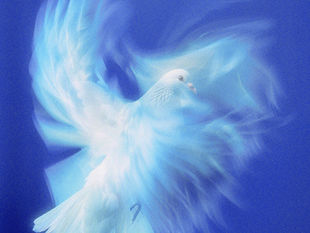 Pastor's Reflection - May 31, 2026