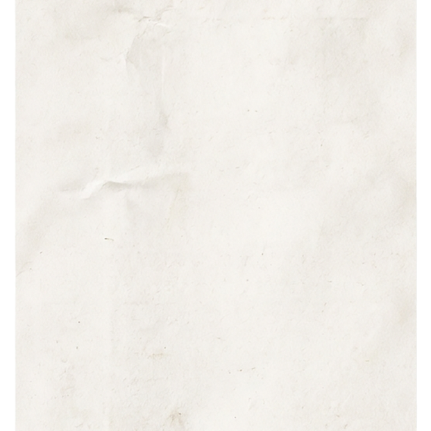 Blank Paper Texture