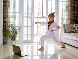 Porque usamos consultas online?