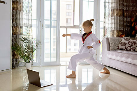 Practicing Martial Arts at Home