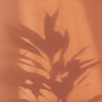 Orange Shadow