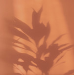 Orange Shadow
