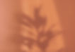 Orange Shadow