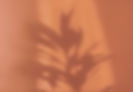 Orange Shadow
