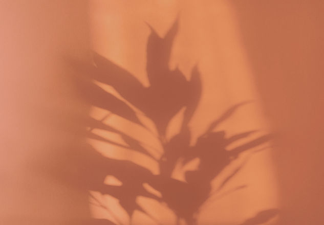 Orange Shadow