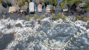 Flooded Frustrations: Navigating Claims for Water Damage