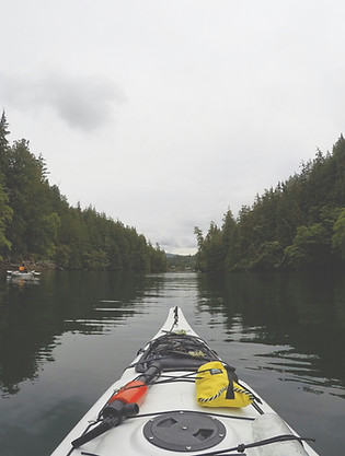 Kayaking in a Serene Forest River