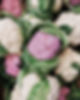 Colorful Cauliflowers