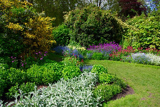 Springtime flowers in a large garden