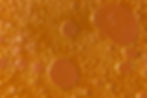 Oil Bubbles Texture