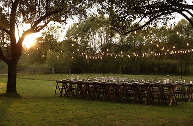 Outdoor Evening Celebration