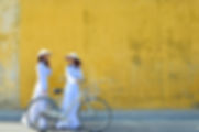 Beautiful Vietnamese women wearing ao dai with a bike