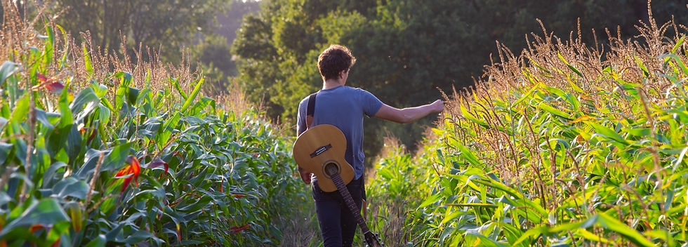 Man Walking Cornfield