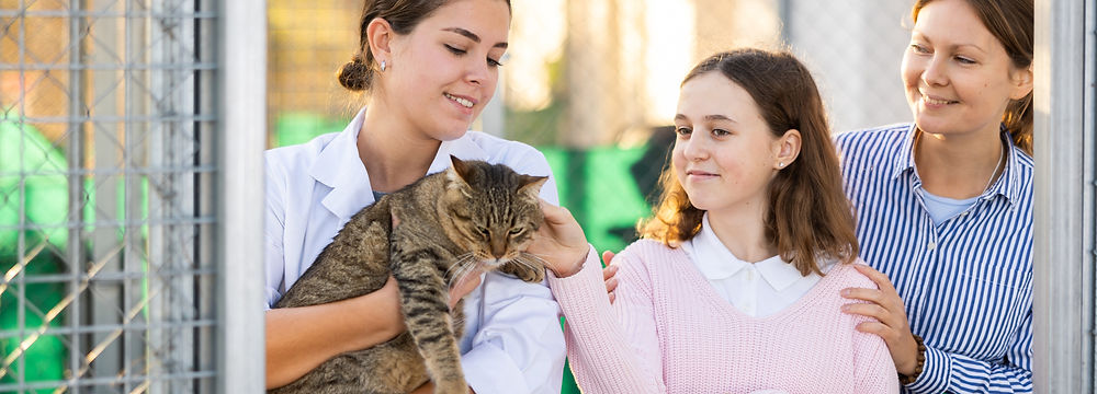 Smiling male veterinarian in white coat holding a tabby cat.
