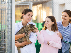 Should you bathe your cat