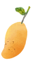 Watercolor Mango Illustration