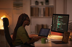 Digital Programmer