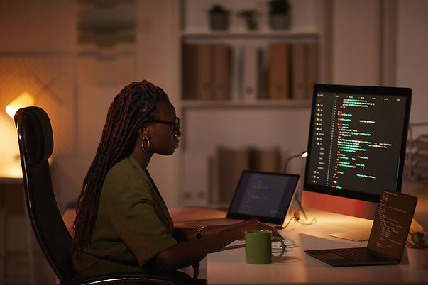 Digital Programmer