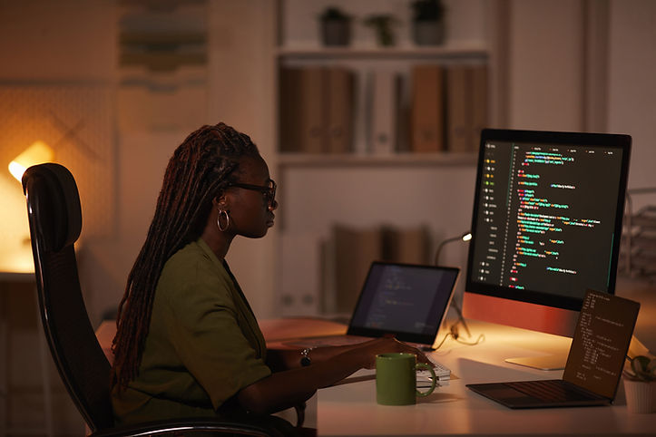 Digital Programmer