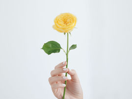 Comment nous allons travailler ensemble.