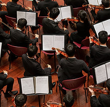 Violin Orchestra