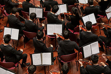 Violin Orchestra