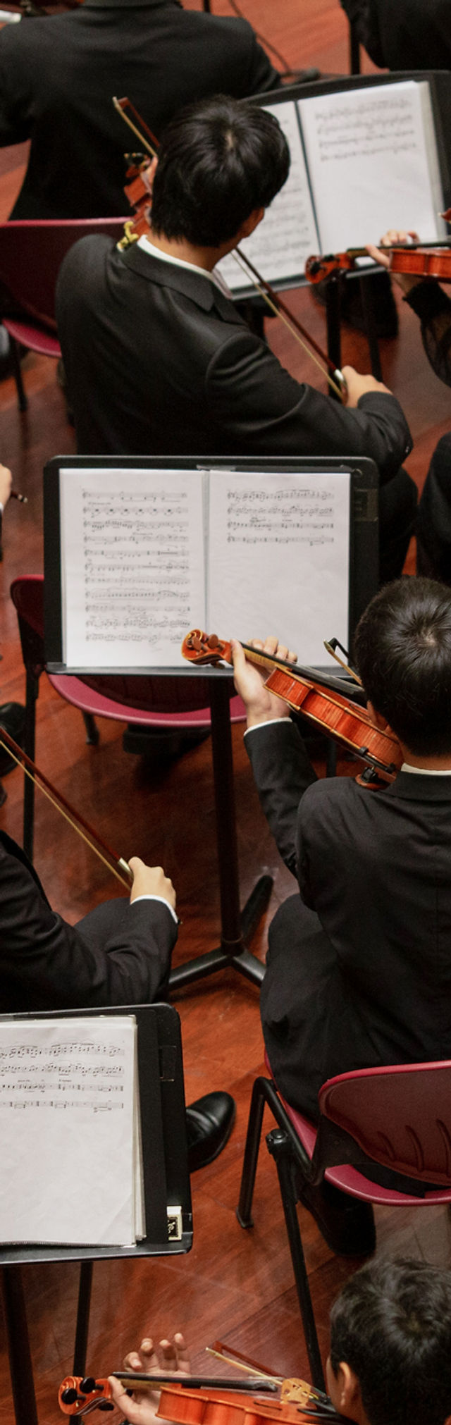 Performance Instruments | roper-music