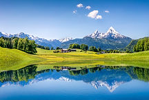 Summer landscape