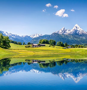 Summer landscape