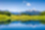 Paysage d'été