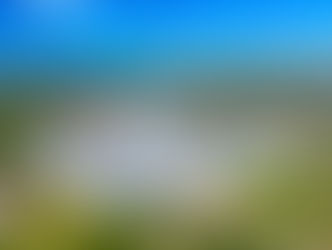 Ochrana kultúrneho dedičstva ako kurikulárny problém