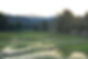 Rice paddy