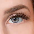 Eyes and Brows