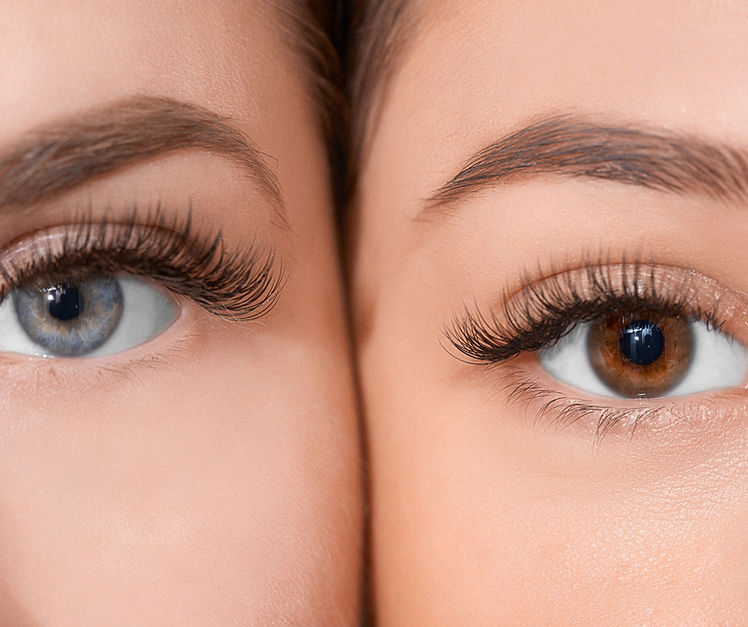 Eyes and Brows