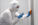 To Sanitize or not to Sanitize that is the Question