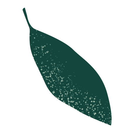 Dark Green Leaf