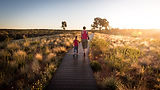 Sunset Stroll