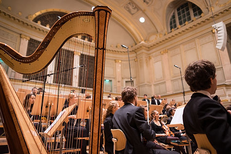 Harp in orchestra
